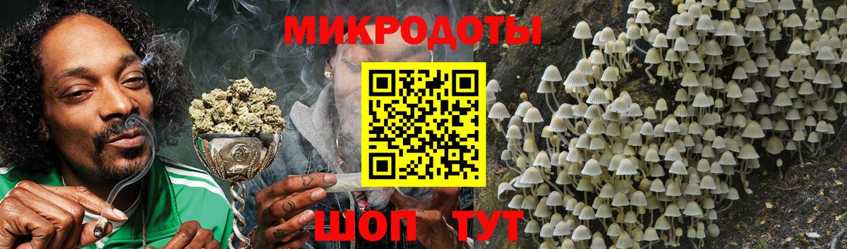 Кириши  Псилоцибиновые грибы Psilocybine cubensis  Вход с VPN 